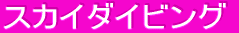 �X�J�C�_�C�r���O 